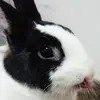 Alexander Hsu - @alexanderhsucc - TikTok