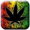 Inglis Alexander - @inglis.alexander - TikTok