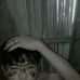 Alexander Jacob - Facebook