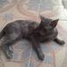 Alexander Jaen - Facebook