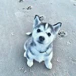 alexander jaen - @jaen3527 - Instagram