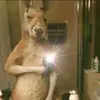 Alexander Juncal - @alexander.juncal - TikTok
