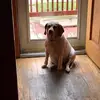 alexanderjune3 - @alexanderjune3 - TikTok