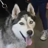 Alexander Kitchens - @alexander.kitchen8 - TikTok