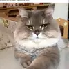 user9307181429925 - @alexander_kott - TikTok