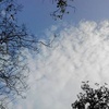 Alexander  Lai - @30648845217 - TikTok