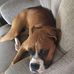 Alexander Lapointe - Facebook