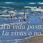 Alexander Laureano - Facebook