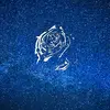 Alexander Leach955 - @alexanderleach08 - TikTok