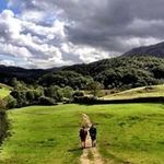 Alexander Leach - @leach.alexander - Instagram