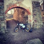 Alexander Lemke - @alfy_the_1st - Instagram