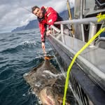 Alexander Lindström - @allel92 - Instagram