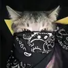 Alexander Lynn - @alexander.lynn7 - TikTok