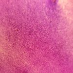 Alexander Lynn - @alexlynn64 - Instagram
