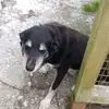 Alexander Lyttle - @alexander.lyttle - TikTok