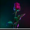 Alexander Maloney290 - @im_chill_af - TikTok