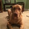 alexander.matherly - @alexander.matherl - TikTok