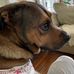 Alexander McCulloch - Facebook