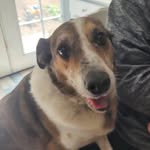 Alexander McElroy - @alex_and_oliver15 - Instagram