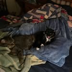 Alexander McGee - @alexanderduhgrape - Instagram