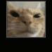 Alexander Millan - Facebook