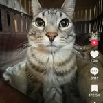 Alexander Mortimer - @ladysman21766 - Instagram