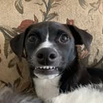 Mortimer Alexander - @mortimeralexander - Instagram