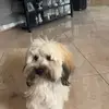 alexandermuniz_43 - @alexandermuniz_43 - TikTok