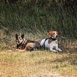 AleXander Nitsche - @smileythealleykat - Instagram