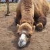 Alexander Nitsche - Facebook