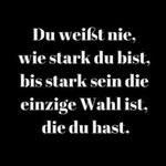 Alexander Nitsche - @alex9999000 - Instagram