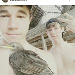 Alexander Norris - @norriss_15 - Instagram