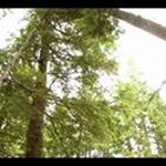 Alexander Nowak - @airalex.nowak - Instagram