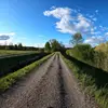 Alexander Nowak - @alex_05150 - TikTok