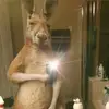 Alexanderobando - @alexanderobando15 - TikTok