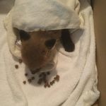 Alexander Pappas - @alexpappas8 - Instagram