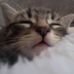 Alexander Perkins - Facebook
