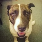 Alexander Perrin - @dylie357 - Instagram