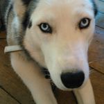 Alexander Phillips - @alex_phillips616 - Instagram