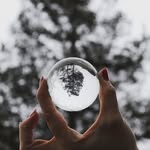 Alexander Phillips - @fotofurious - Instagram