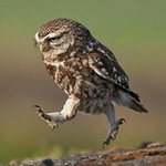 Alexander Pickering - @alexanderpickering - Instagram