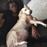 Alexander Pinks - @aw_pinks - Instagram