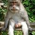 Alexander Pitman - Facebook