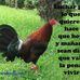 Alexander Pizaña - Facebook