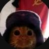 alexanderplatek - @alexanderplatek - TikTok