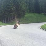 Alexander Platzer - @alexander_platzer - Instagram
