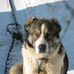 Alex  Plotkin - Facebook