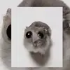 Alexander pol - @alexander.pol8 - TikTok