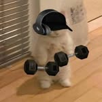 🎶 Guyrissimo Alexander Pollock 🎶 - @fitguy.pollock - Instagram