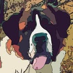 Alexander Pollock - @pollock.alexander - Instagram